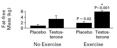 Testosterone and muscle growth Testosterone and muscle growth